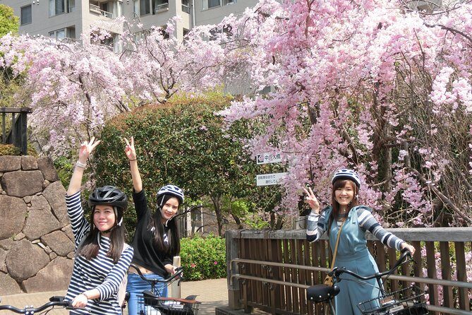 Tokyo Cherry Blossoms blooming spots E-bike Tour, 3hrs - Who Will Love This Tour?