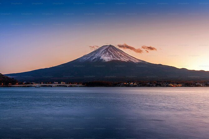 Tokyo: Customized Mt. Fuji & Hakone Sightseeing Private Day Trip - Who It’s Best For