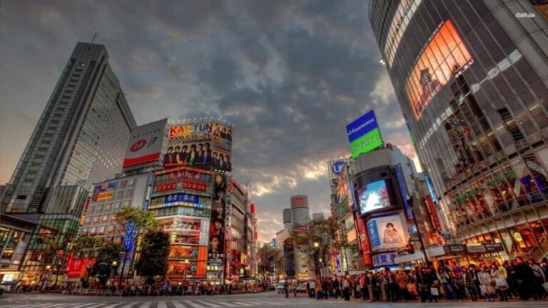 Tokyo: Customized Private Tour with a Local Guide - Who Is This Tour Best For?