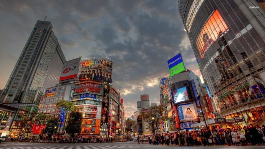 Tokyo: Customized Private Tour with a Local Guide - Who Is This Tour Best For?