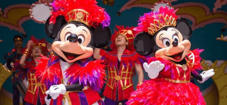 Tokyo Disneyland: 1-Day Entry Ticket and Private Transfer - How the Private Transfer Works
