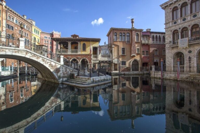 Tokyo Disneyland or DisneySea Ticket & Door to Door Transfer - Practical Tips for Your Visit