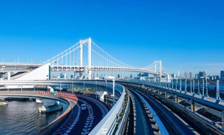 Tokyo: Driving Lessons with an Instructor - Detailed Breakdown of the Experience