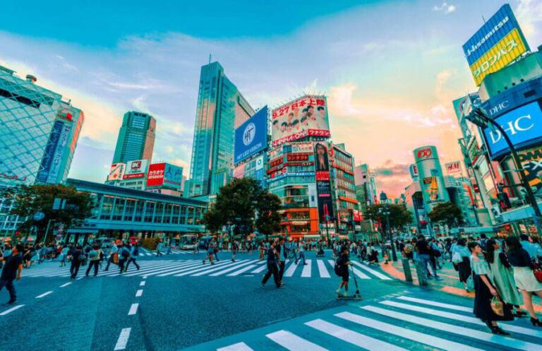 Tokyo: Full-day Immersive Private Tour by Premium Car - How the Tour Works in Practice