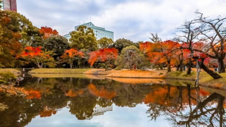 Tokyo: Full-Day Japanese Garden Private Guided Tour - What to Expect on the Tour