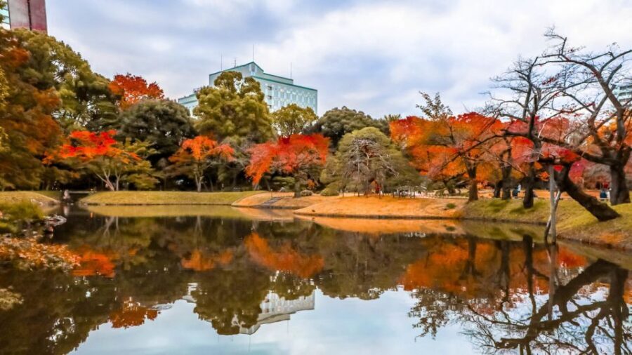 Tokyo: Full-Day Japanese Garden Private Guided Tour - What to Expect on the Tour