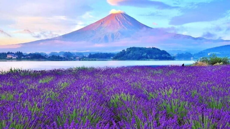 Tokyo: Full-Day Tour of the Six Majestic Spots of Mt Fuji - What You Can Expect: Practical Details and Traveler Tips