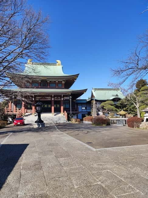 Tokyo: Great Buddha, Museums, Botanical Garden and More - Final Thoughts: Who Will Love This Tour?