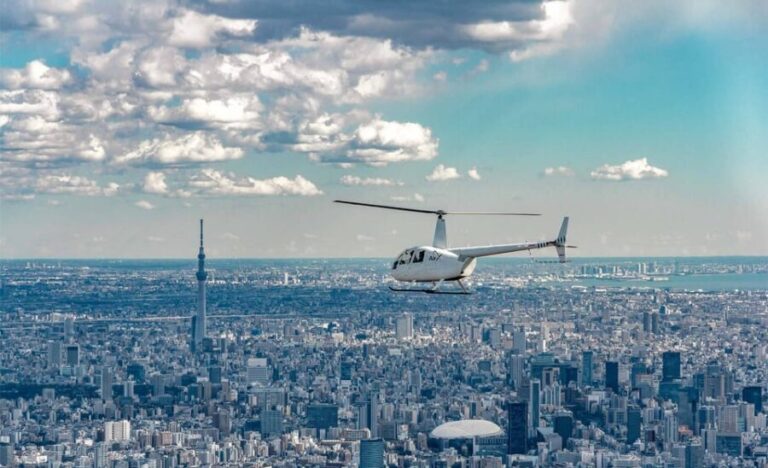Tokyo: Guided Helicopter Ride with Mount Fuji Option - The Practicalities: What to Expect and Consider