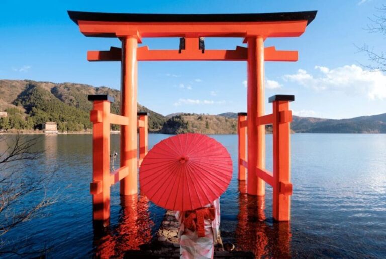 Tokyo: Hakone Private Day Trip with English Speaking Driver - Who Will Love This Tour?