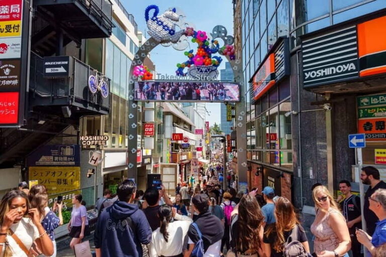 Tokyo: Half-Day Afternoon Small Group Tour - Final Thoughts: Who Will Love This Tour?