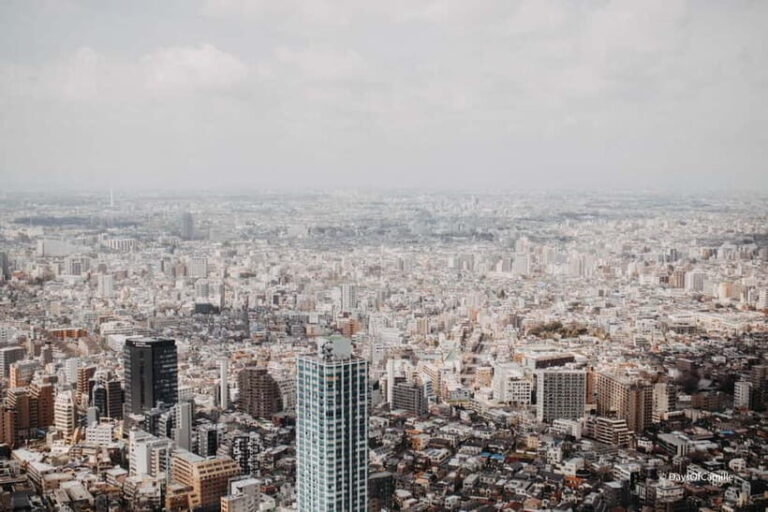 Tokyo, half day : private tour with an expert ! - Deep Dive into the Itinerary