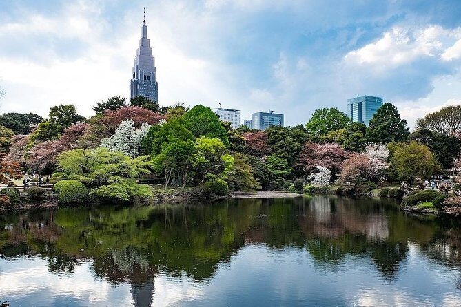 Tokyo Japanese Garden Lover's Private Tour with Government-Licensed Guide - What to Expect from the Guided Tour