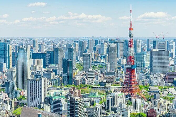 Tokyo Layover 5 Hours Private Tour - Authenticity and Value