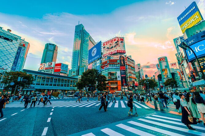 Tokyo Like a Local: Customized Private Tour - Practical Tips for Booking and Enjoying Your Tour