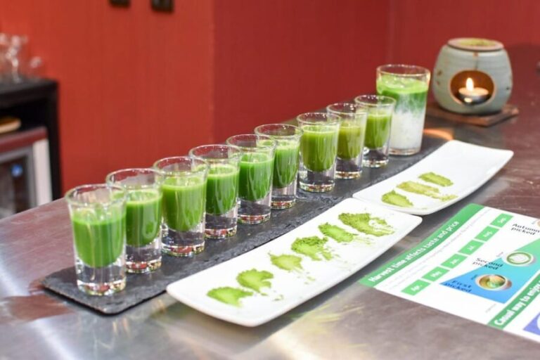 Tokyo: Matcha Tasting and Making Experience - Who should consider this experience?