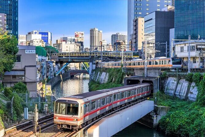 Tokyo Metro Subway Ticket - The Real Traveler Experience