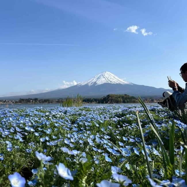 Tokyo: Mount Fuji Affordable Customizable Private 1-Day Tour - The Experience: What It Feels Like
