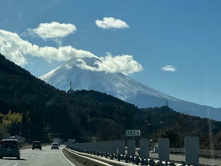 Tokyo: Mount Fuji and Hakone Private Sightseeing Day Tour - The Practicalities: What’s Included and What’s Not
