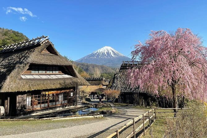 Tokyo: Mount Fuji Must-see Attractions One Day Sightseeing Tour - The Itinerary in Detail