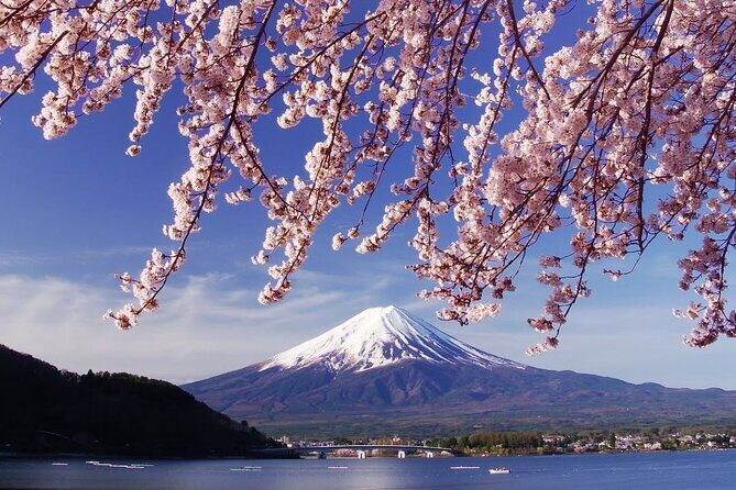 Tokyo: Mount Fuji One Day Trip Lake Kawaguchi & Lake Yamanaka - Who Will Love This Tour?