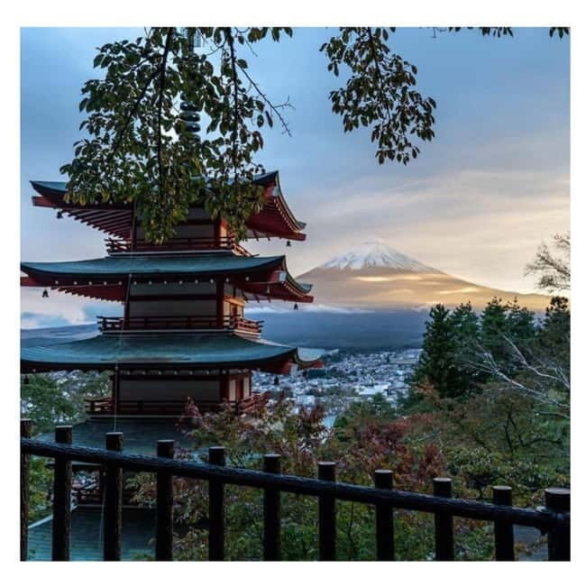 Tokyo: Mount Fuji Private Day Tour With Low Price Guarantee - Transportation and Comfort