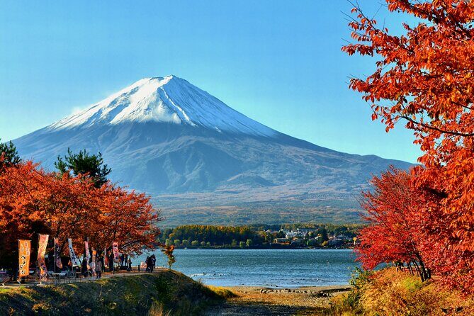 Tokyo: Mt. Fuji, Oshino Hakkai and Gotemba Outlets 1Day Bus Tour - What Travelers Are Saying