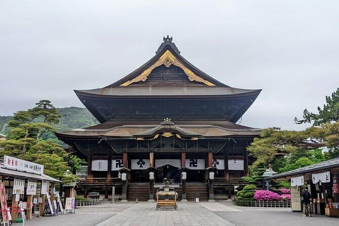 Tokyo Nagano Snow Monkey Park and Zenkoji Temple English driver - Transportation and Practical Details: Why They Matter