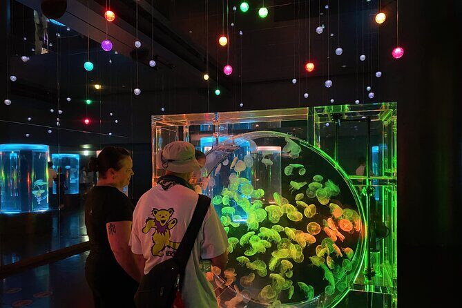 Tokyo Night E-Bike Tour with Tokyo Tower and Dolphin Show - Why This Tour Works for Travelers