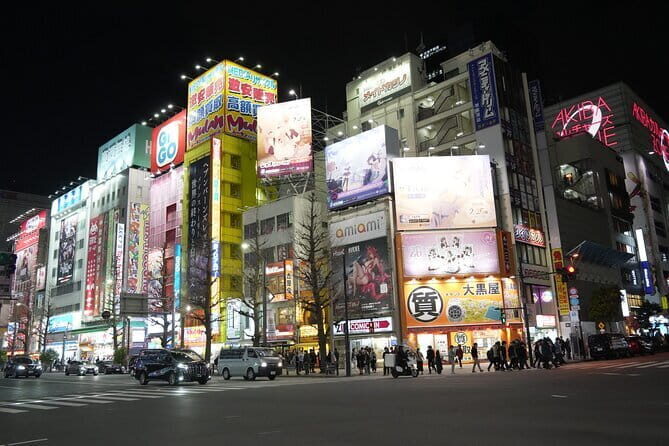 Tokyo Night Tour Akihabara, Shibuya, Karaoke and City Lights - Who is This Tour For?