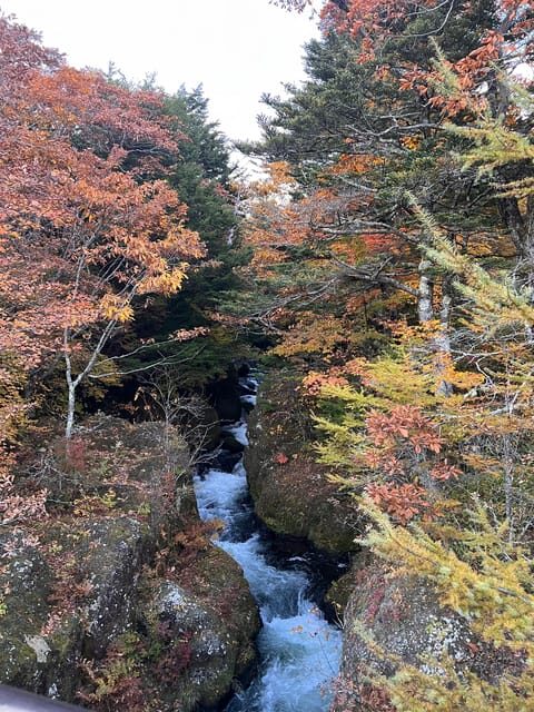 Tokyo: Nikko Day Tour with Private Vehicle and Guide - Practical Aspects of the Tour