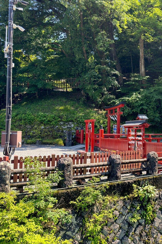 Tokyo: Nikko Private Day Tour - The Experience from Traveler Reviews