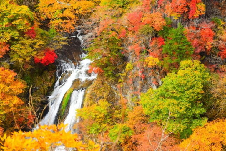 Tokyo: Nikko Private Sightseeing Day Trip with Driver - Value for Money: What You’re Getting