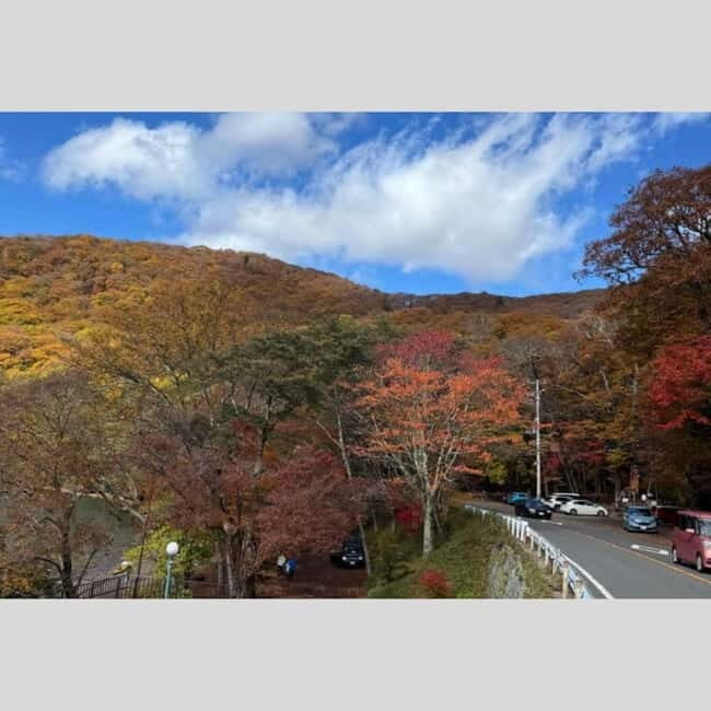Tokyo: Nikko World Heritage Private Day Trip Hotel Pick-up - Who Will Love This Tour?