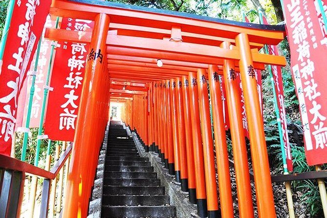 Tokyo Off the Beaten Path 6hr Private Tour with Licensed Guide - Authentic Experiences Highlighted by Travelers