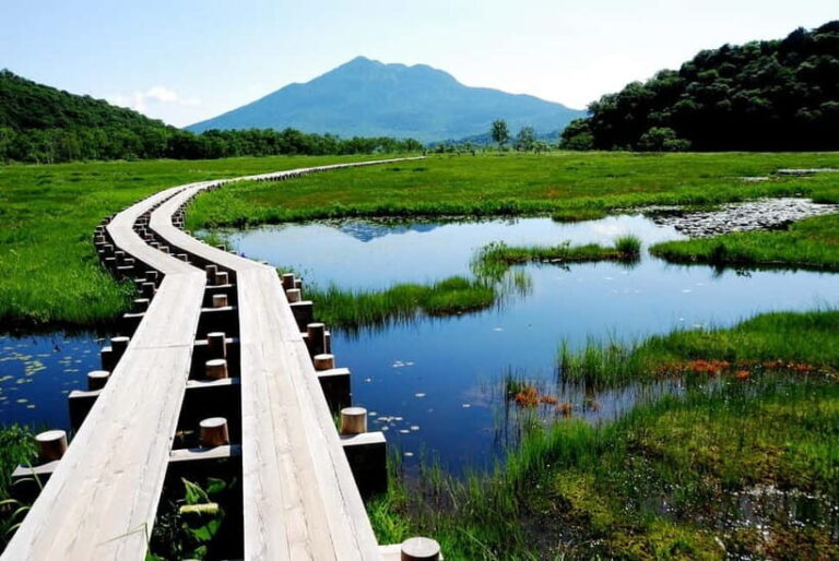 Tokyo: Oze Marshland Hiking Day Trip via Hatomachi Pass - Value and Practical Considerations
