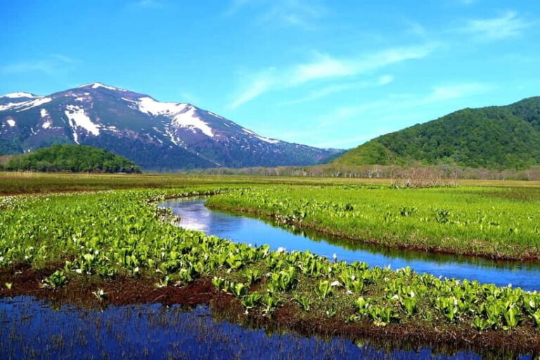 Tokyo: Oze National Park Self-Guided Hike with Overnight Bus - What to Expect on Your Journey