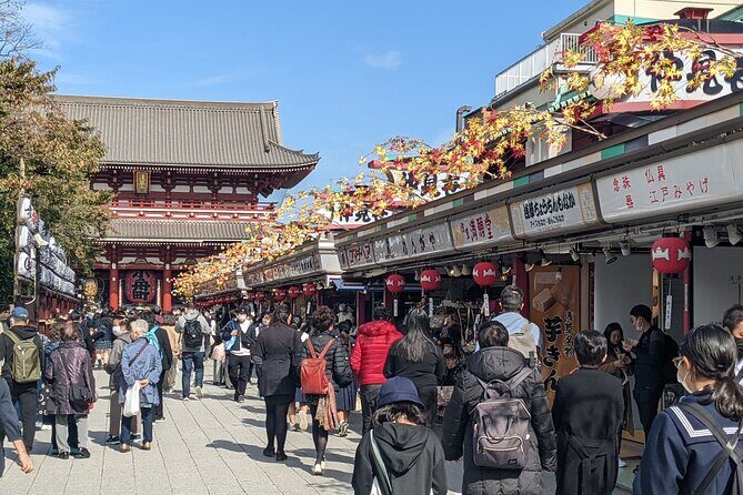Tokyo Private Car Tour: Professional Guide and Driver/Optional airport xfer - Who Would Benefit Most from This Tour?