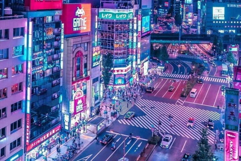 Tokyo: Private Customizable 4-Hour Night Tour - The Value of a Private, Customizable Tour