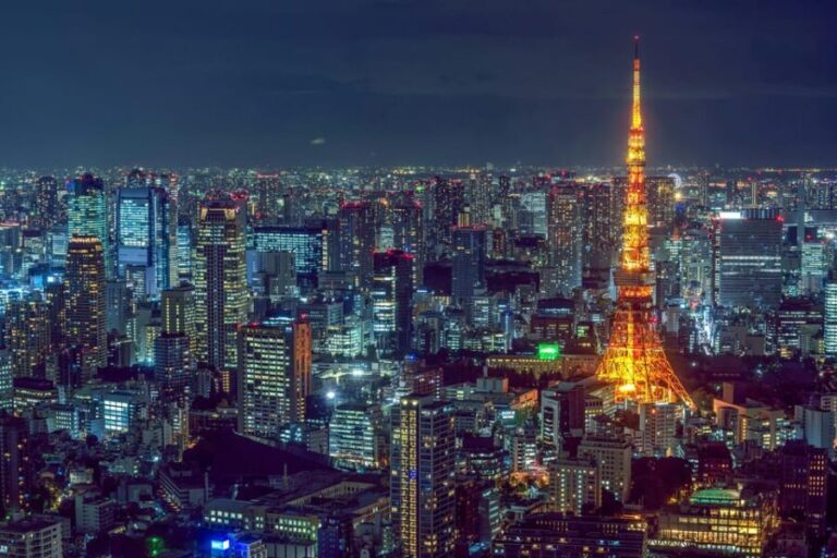 Tokyo: Private Customizable City Tour with Chauffeur - Whats Included and Whats Not?