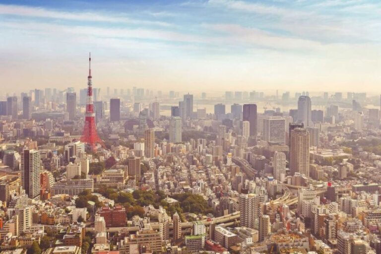 Tokyo: Private Customizable Day Tour of Tokyo - Why Opt for a Private Customizable Tour in Tokyo?