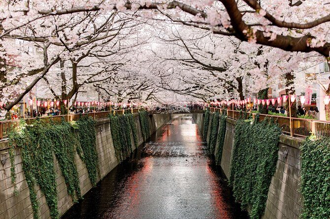 Tokyo Private Customizable Full Day Tour - An In-Depth Look at the Tour Itinerary and Experience