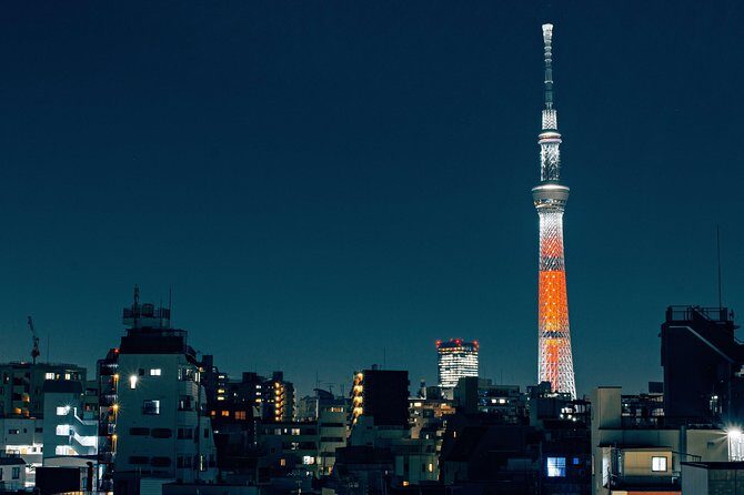 Tokyo Private Customizable Half Day Tour - What’s Included and What’s Not
