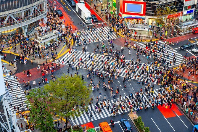 Tokyo Private Customizable Tour with English Speaking Chauffeur - What’s Included and What’s Not?