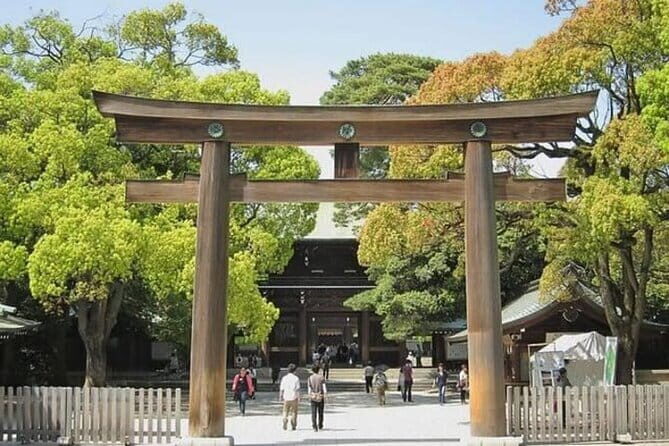 Tokyo Private Day Tour by Car with English speaking Driver - The Value of This Tour: What Travelers Say