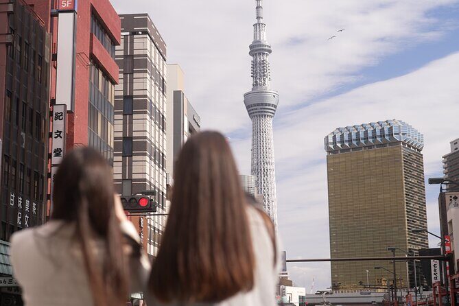 Tokyo Private Driving Tour by Car/Van- English speaking chauffeur - Who Will Love This Tour?