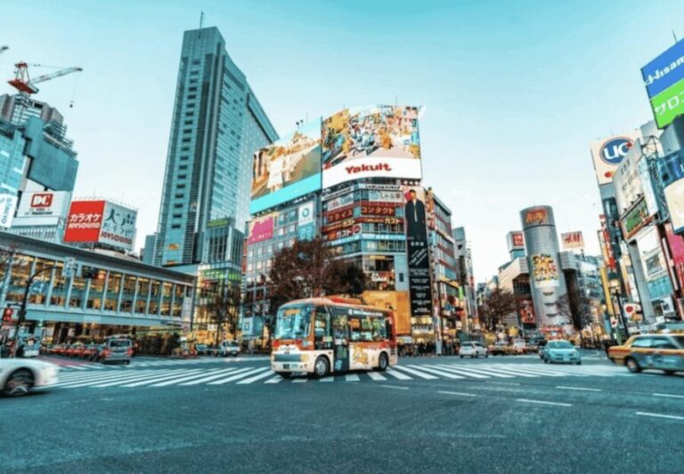 Tokyo: Private Guided Tour with Hotel Pickup and Drop-off - What Travelers Say About the Guides and Experience