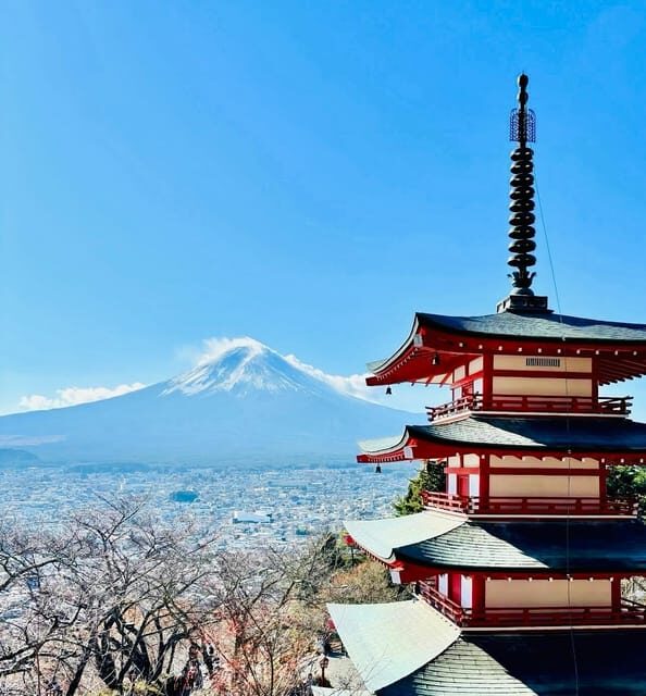 Tokyo: Private Half-Day Tour by Car with Local Guide - Who Will Love This Tour?