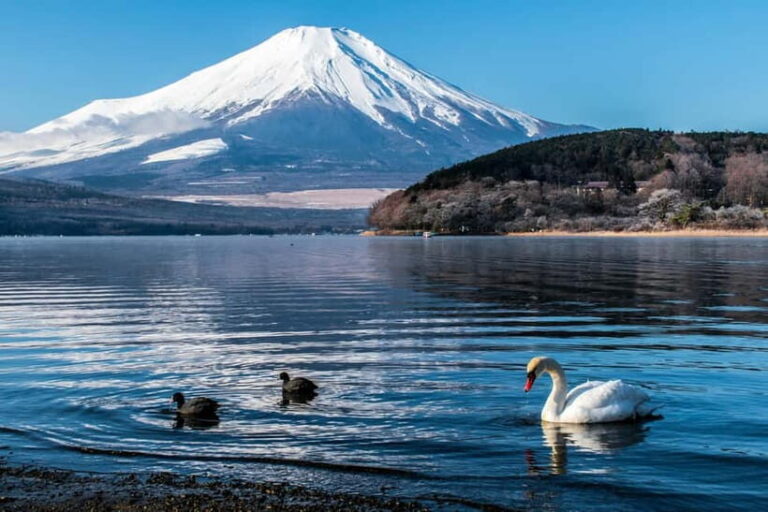 Tokyo : Private Luxury Tour To Mt Fuji With English Speaker - What Makes This Tour Stand Out