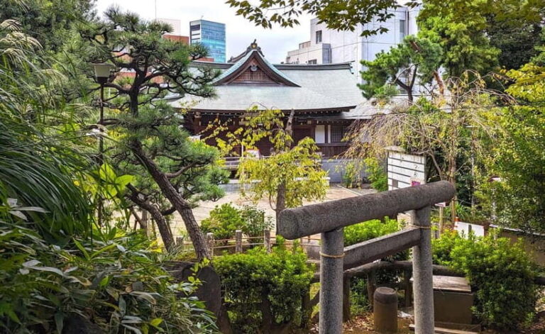 Tokyo: Private Morning Run with Sento Bath Experience - What You’ll Experience During the Run